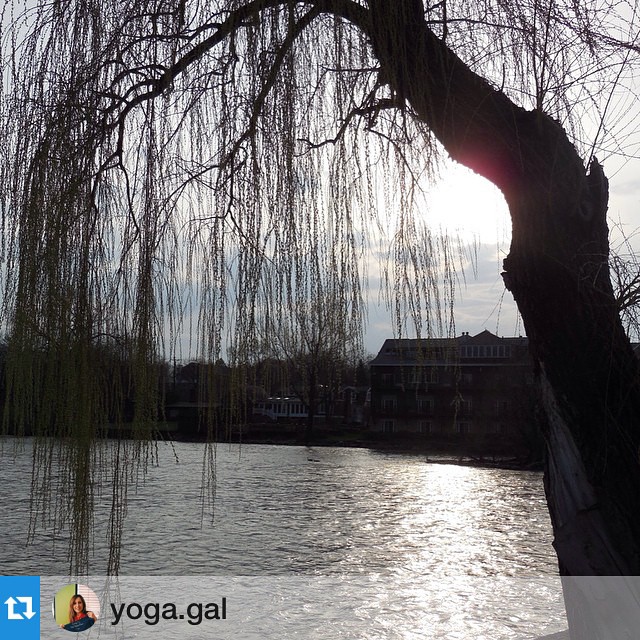 The Fox River - Karen Muehlfelt